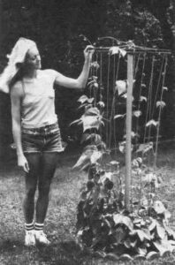 My Bicycle Wheel Bean Tower Image